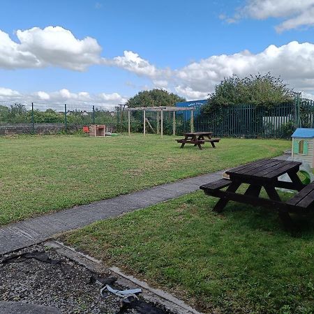Y Doc At World Horizons Community Hub Vandrerhjem Llanelli Eksteriør bilde