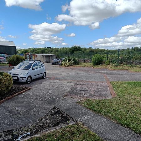 Y Doc At World Horizons Community Hub Vandrerhjem Llanelli Eksteriør bilde